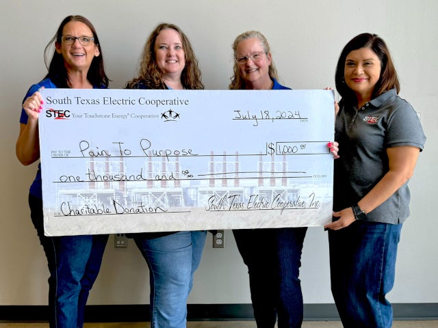 Pain to Purpose check presentation